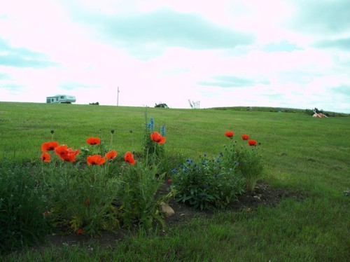 340 4Th Street North, Mountain View, AB 