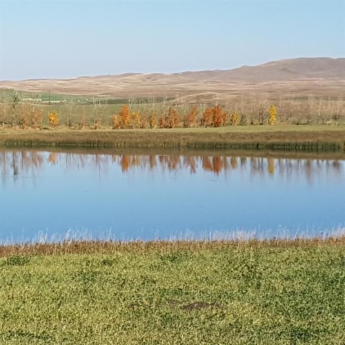 340 4Th Street North, Mountain View, AB 