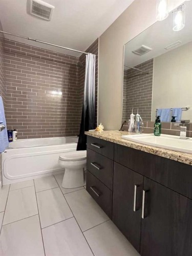 642 Moonlight Lane West, Lethbridge, AB - Indoor Photo Showing Bathroom