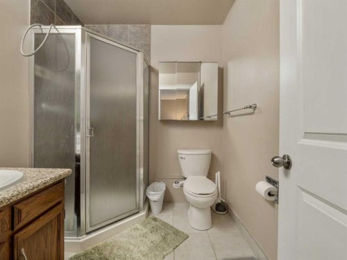 51 Tudor Boulevard South, Lethbridge, AB - Indoor Photo Showing Bathroom