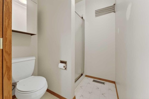 95 Stoney Crescent West, Lethbridge, AB - Indoor Photo Showing Bathroom