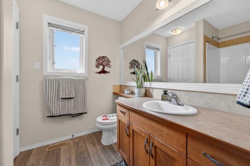 210 Firelight Crescent West, Lethbridge, AB - Indoor Photo Showing Bathroom