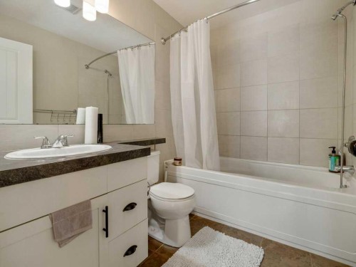 461 Lynx Terrace North, Lethbridge, AB - Indoor Photo Showing Bathroom