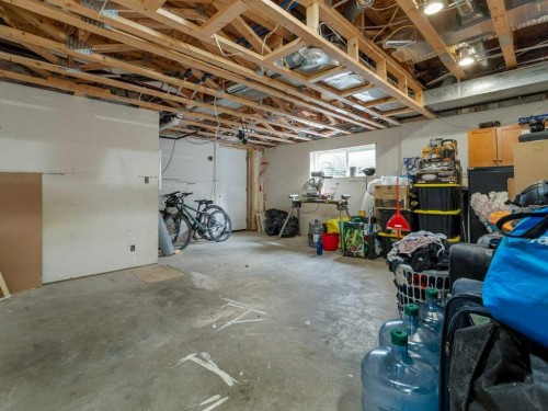 461 Lynx Terrace North, Lethbridge, AB - Indoor Photo Showing Basement