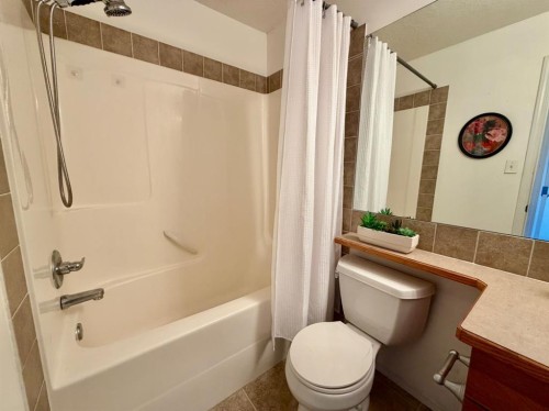 613 Squamish Lane West, Lethbridge, AB - Indoor Photo Showing Bathroom