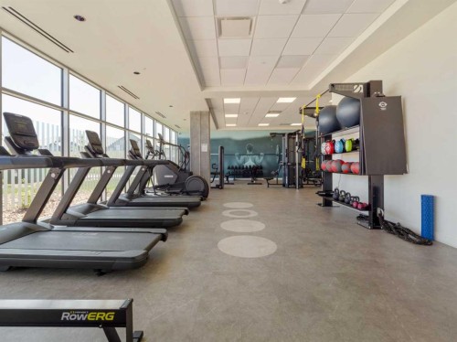 218-102 Scenic Drive North, Lethbridge, AB - Indoor Photo Showing Gym Room