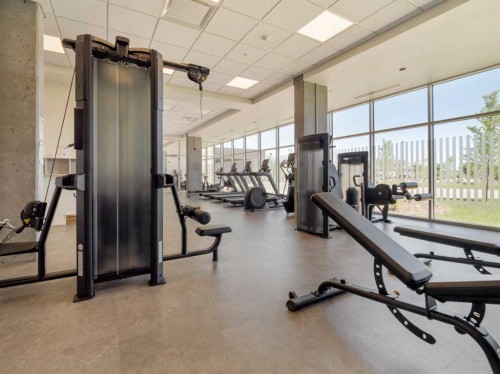 218-102 Scenic Drive North, Lethbridge, AB - Indoor Photo Showing Gym Room