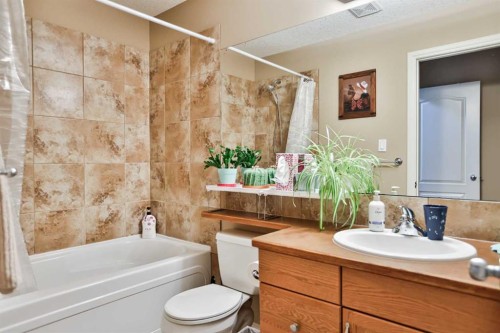 408 Thyrza Burkitt Link North, Lethbridge, AB - Indoor Photo Showing Bathroom