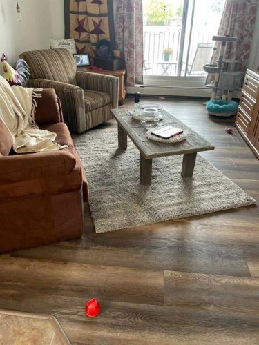 H201-2004 13 Avenue, Lethbridge, AB - Indoor Photo Showing Living Room