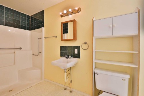 221 N 250 E, Raymond, AB - Indoor Photo Showing Bathroom