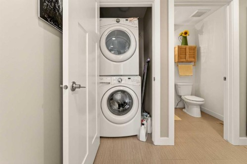 148 Cabot Landing West, Lethbridge, AB - Indoor Photo Showing Laundry Room