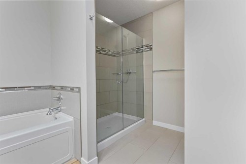 493 Devonia Way West, Lethbridge, AB - Indoor Photo Showing Bathroom