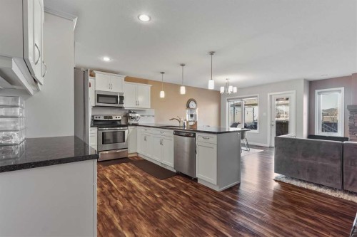493 Devonia Way West, Lethbridge, AB - Indoor Photo Showing Kitchen With Upgraded Kitchen