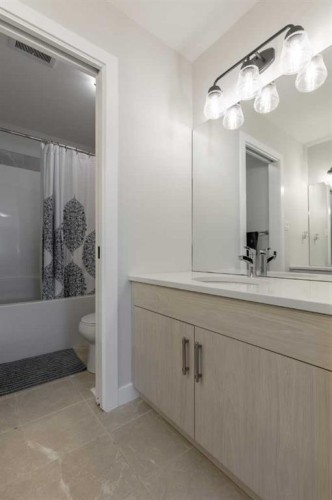 1366 Pacific Circle West, Lethbridge, AB - Indoor Photo Showing Bathroom