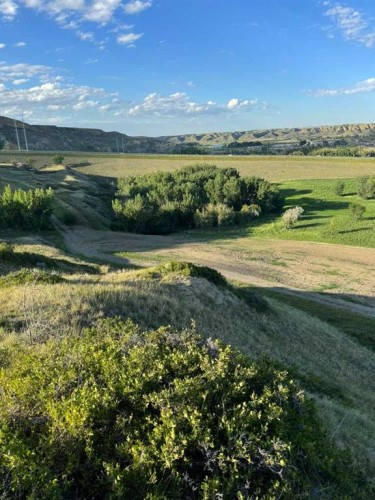 55,75,105,121,125 Bridge Drive West, Lethbridge, AB 