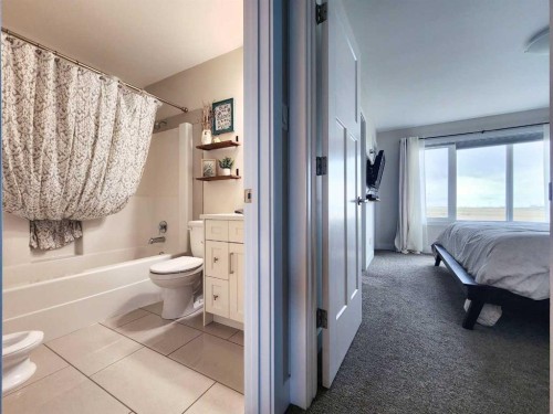 237 Crocus Terrace West, Lethbridge, AB - Indoor Photo Showing Bathroom