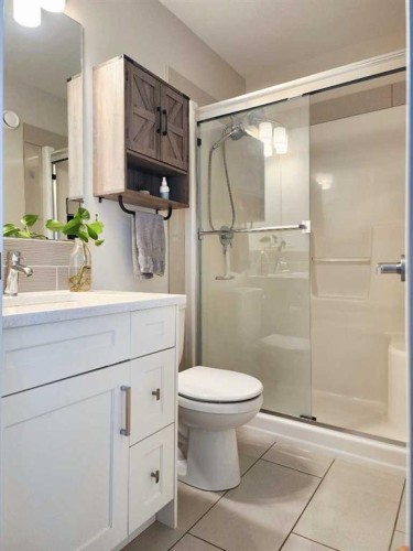 237 Crocus Terrace West, Lethbridge, AB - Indoor Photo Showing Bathroom