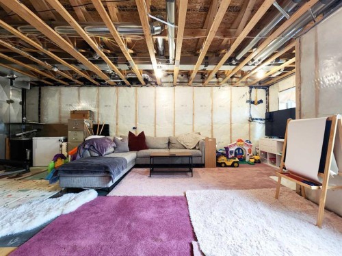 237 Crocus Terrace West, Lethbridge, AB - Indoor Photo Showing Basement