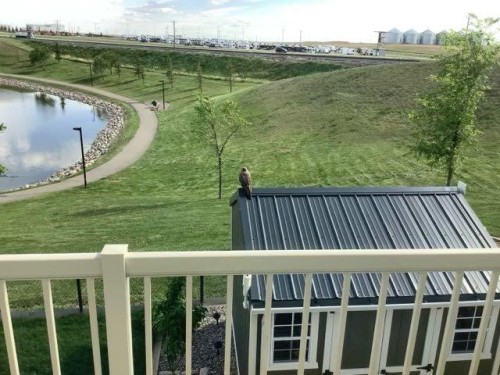 202 Lake Drive, Coalhurst, AB - Outdoor With View