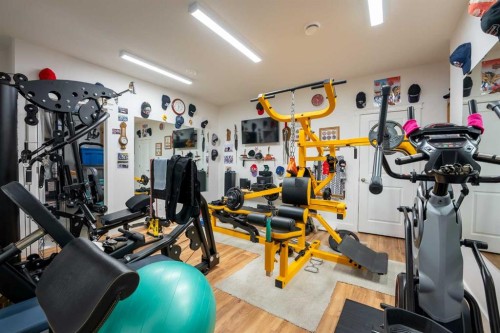 202 Lake Drive, Coalhurst, AB - Indoor Photo Showing Gym Room