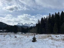 #8-6308 25 Avenue Coleman, AB T0K 0M0