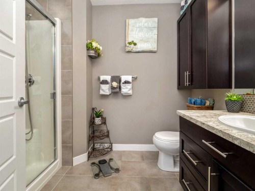 527 Moonlight Lane West, Lethbridge, AB - Indoor Photo Showing Bathroom