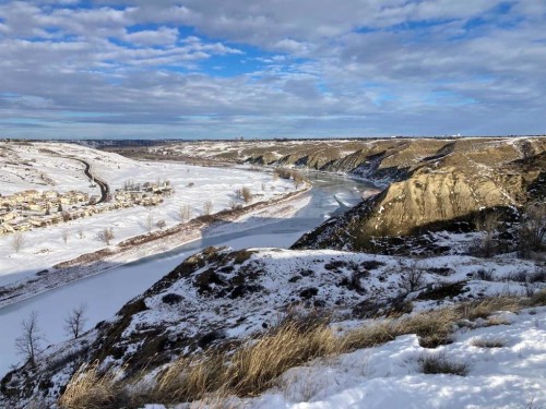 5 Acres, Rural Lethbridge County, AB 