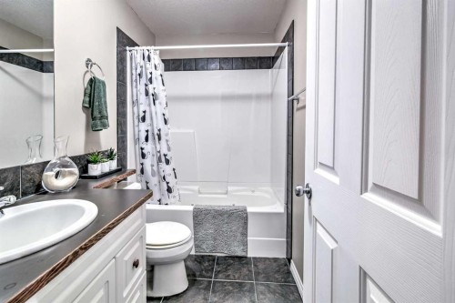 78 Coalbanks Gate West, Lethbridge, AB - Indoor Photo Showing Bathroom