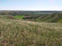 4;22;9;14; Sw,Se, Rural Lethbridge County, AB 