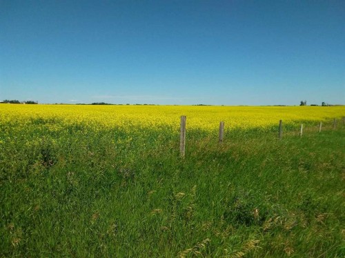 4;22;9;14; Sw,Se, Rural Lethbridge County, AB 