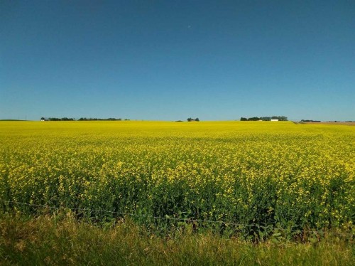 4;22;9;14; Sw,Se, Rural Lethbridge County, AB 