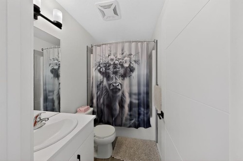 302 Uplands Boulevard North, Lethbridge, AB - Indoor Photo Showing Bathroom