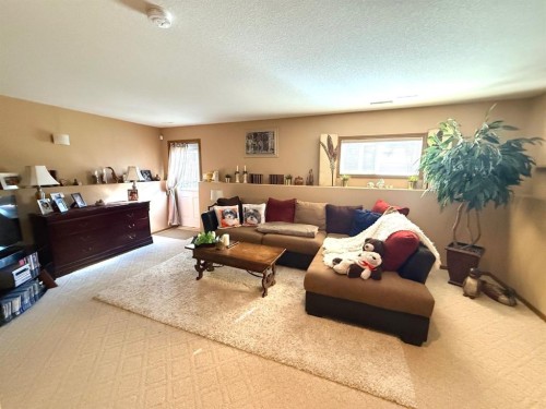 493 Squamish Lane West, Lethbridge, AB - Indoor Photo Showing Living Room