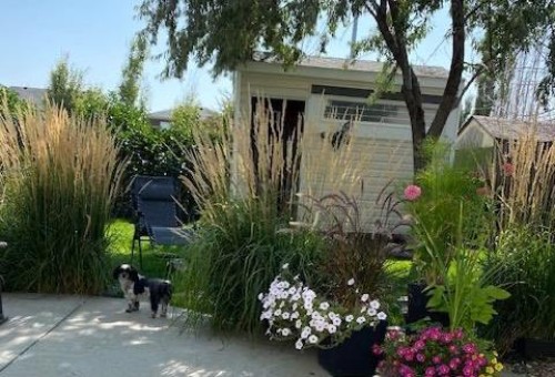 493 Squamish Lane West, Lethbridge, AB - Outdoor