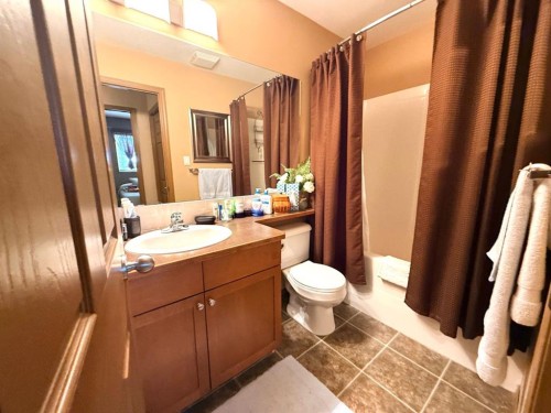 493 Squamish Lane West, Lethbridge, AB - Indoor Photo Showing Bathroom