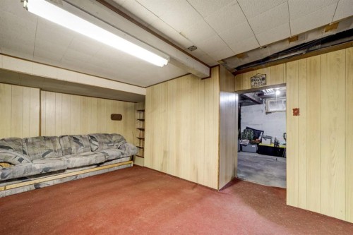8301 18 Avenue, Coleman, AB - Indoor Photo Showing Basement