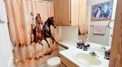 72 Owens Close, Red Deer, AB - Indoor Photo Showing Bathroom