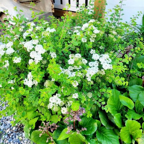 72 Owens Close, Red Deer, AB - Outdoor