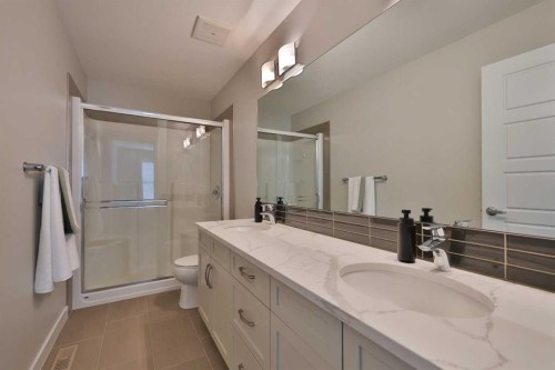 283 Northlander Bend West, Lethbridge, AB - Indoor Photo Showing Bathroom