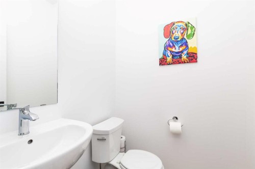 1180 Coalbrook Place West, Lethbridge, AB - Indoor Photo Showing Bathroom