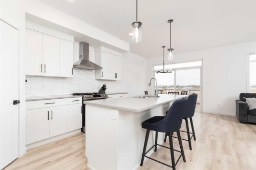 1180 Coalbrook Place West, Lethbridge, AB - Indoor Photo Showing Kitchen With Upgraded Kitchen