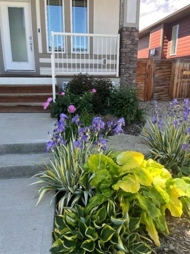 597 Aquitania Boulevard West, Lethbridge, AB - Outdoor With Deck Patio Veranda