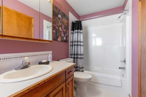 229 Coachwood Point West, Lethbridge, AB - Indoor Photo Showing Bathroom