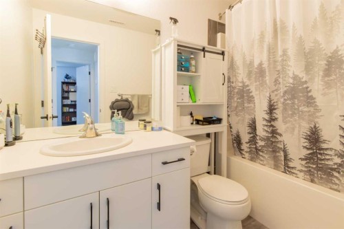 314 Uplands Boulevard North, Lethbridge, AB - Indoor Photo Showing Bathroom
