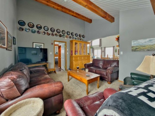 22057 Rg Rd 252, Aetna, AB - Indoor Photo Showing Living Room