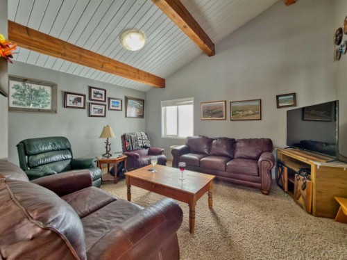 22057 Rg Rd 252, Aetna, AB - Indoor Photo Showing Living Room