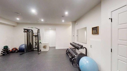 28 Aster Link, Okotoks, AB - Indoor Photo Showing Gym Room