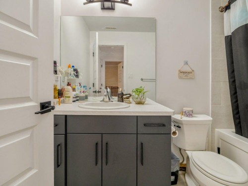 308 Uplands Boulevard North, Lethbridge, AB - Indoor Photo Showing Bathroom
