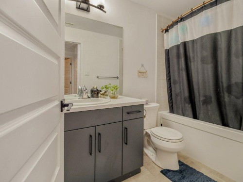 308 Uplands Boulevard North, Lethbridge, AB - Indoor Photo Showing Bathroom