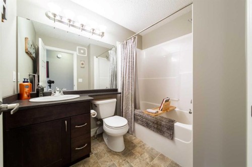 839 37 Avenue, Edmonton, AB - Indoor Photo Showing Bathroom